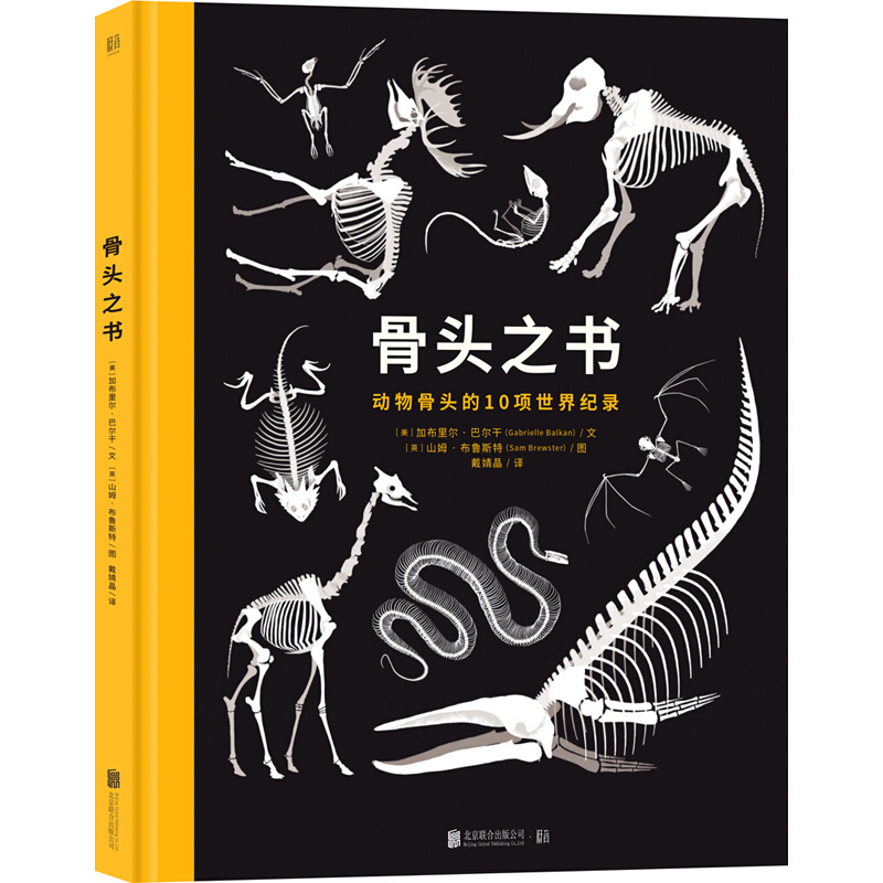 創造力dk兒童動物百科骨頭之書全新dk兒童大百科dk兒童人體百科我的