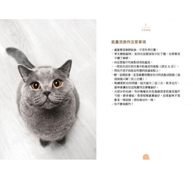 台版 超简单 猫咪健康按握术 蒂娜史丁皮格卢汀瑟猫的喂养方式饲养攻略宠物书籍小猫流文化