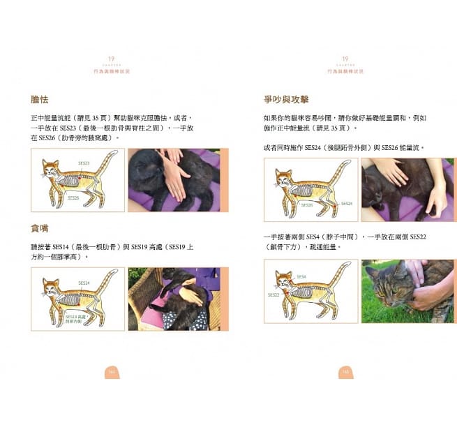 台版 超简单 猫咪健康按握术 蒂娜史丁皮格卢汀瑟猫的喂养方式饲养攻略宠物书籍小猫流文化