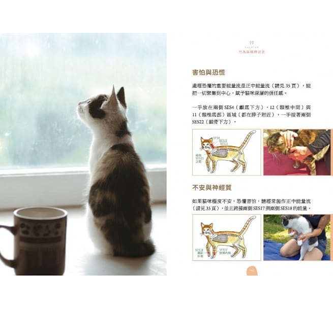 台版 超简单 猫咪健康按握术 蒂娜史丁皮格卢汀瑟猫的喂养方式饲养攻略宠物书籍小猫流文化