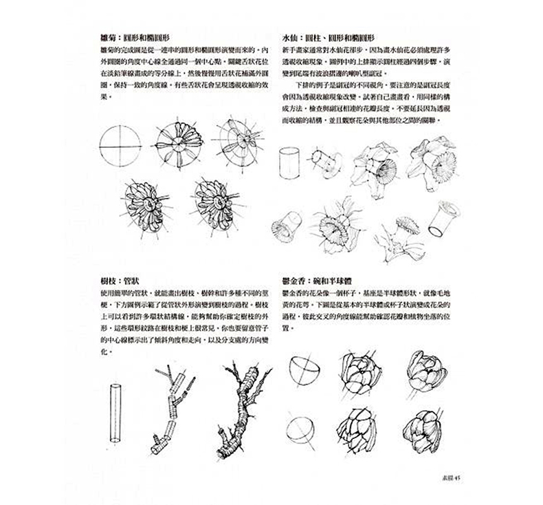 台版 植物画技法全书 从绘画技法 调色技巧到植物纹路与质感 植物画家带你掌握科学绘图的秘诀水彩技法绘画艺术设计类书籍