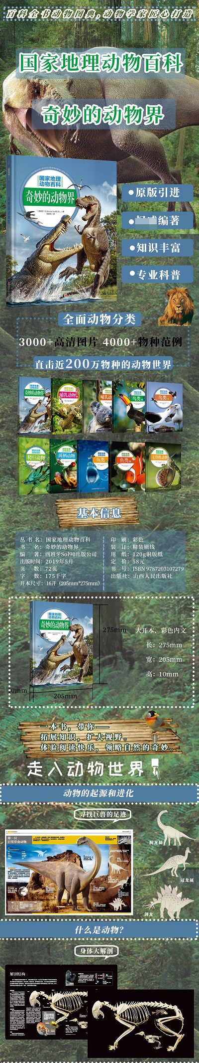 两栖动物
