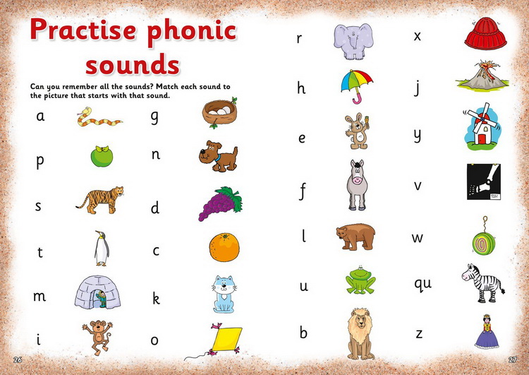 套装一 3-5岁 英文原版 Collins Letts Wild About 系列 Number Writing Counting Alphabet Phonics 少儿科普练习册 5册附答案
