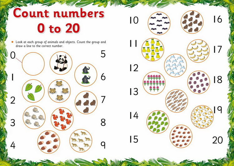 套装一 3-5岁 英文原版 Collins Letts Wild About 系列 Number Writing Counting Alphabet Phonics 少儿科普练习册 5册附答案