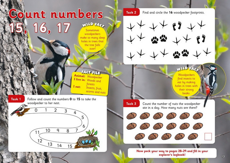 套装一 3-5岁 英文原版 Collins Letts Wild About 系列 Number Writing Counting Alphabet Phonics 少儿科普练习册 5册附答案