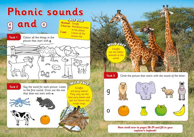 套装一 3-5岁 英文原版 Collins Letts Wild About 系列 Number Writing Counting Alphabet Phonics 少儿科普练习册 5册附答案
