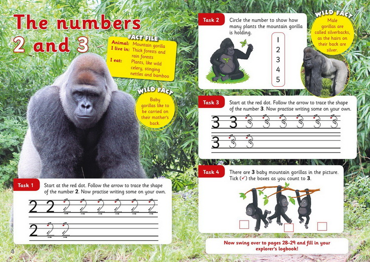 套装一 3-5岁 英文原版 Collins Letts Wild About 系列 Number Writing Counting Alphabet Phonics 少儿科普练习册 5册附答案