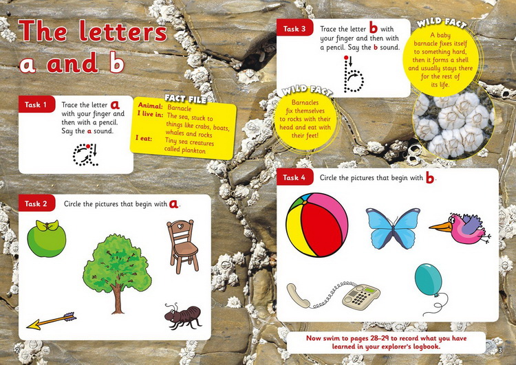 套装一 3-5岁 英文原版 Collins Letts Wild About 系列 Number Writing Counting Alphabet Phonics 少儿科普练习册 5册附答案