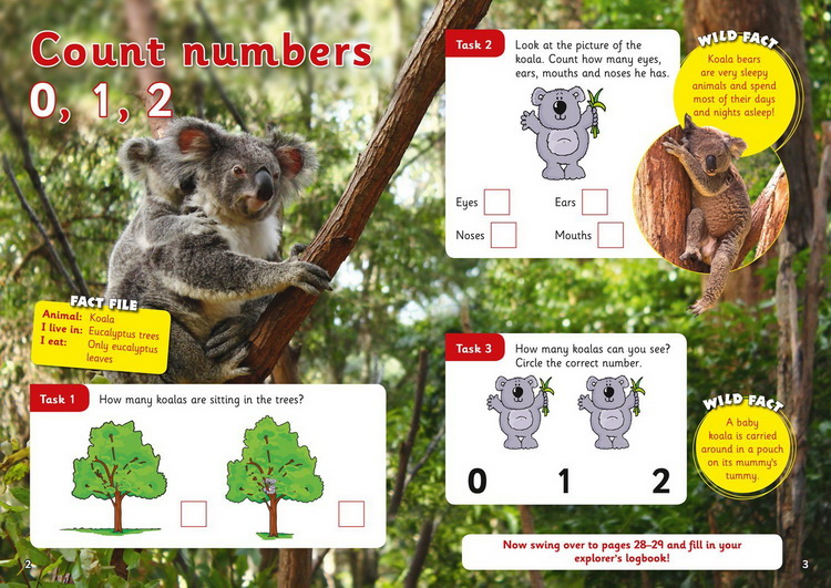 套装一 3-5岁 英文原版 Collins Letts Wild About 系列 Number Writing Counting Alphabet Phonics 少儿科普练习册 5册附答案