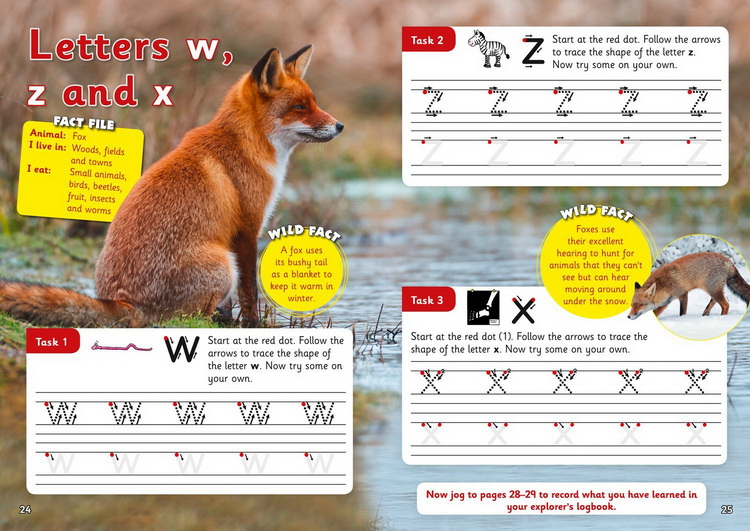 套装一 3-5岁 英文原版 Collins Letts Wild About 系列 Number Writing Counting Alphabet Phonics 少儿科普练习册 5册附答案