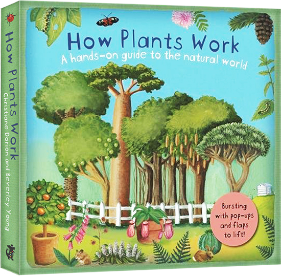 英文原版 How Plants Work 植物是怎么回事 立体翻翻书 儿童科普百科 自然