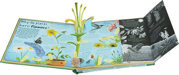 英文原版 How Plants Work 植物是怎么回事 立体翻翻书 儿童科普百科 自然