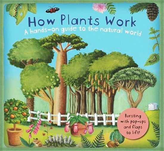 英文原版 How Plants Work 植物是怎么回事 立体翻翻书 儿童科普百科 自然
