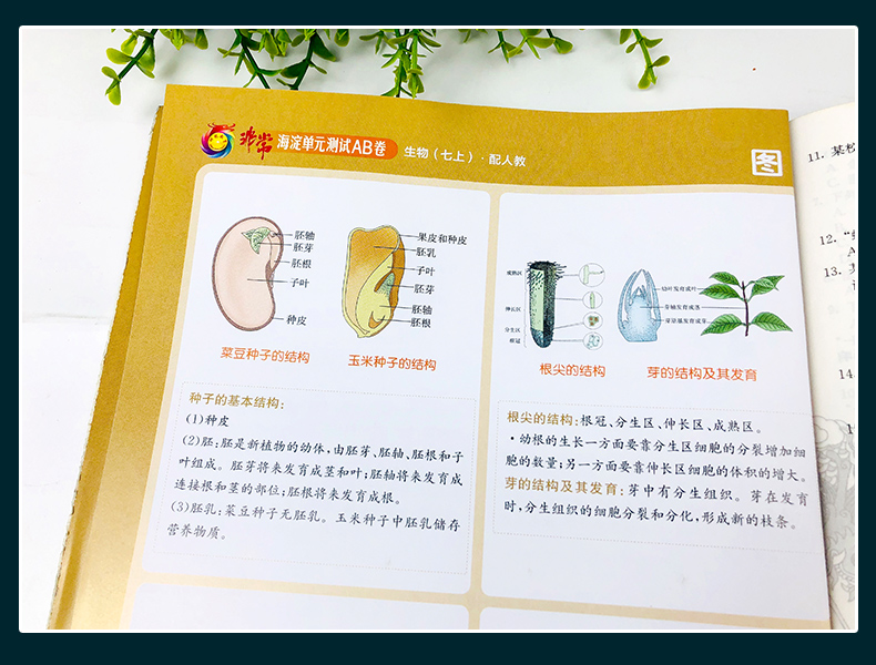 2021版海淀单元测试AB卷七年级生物(上)人教版RJ同步7年级生物课本一本含基础知识重点难点期中期末的中学教辅试卷知识点一遍过ab