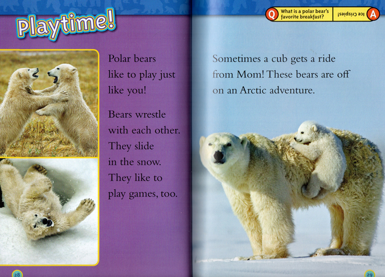 英文原版 National Geographic Kids Cutest Animals Collection 4个故事合辑  L1L2 美国国家地理儿童百科分级读物 小学STEM课程