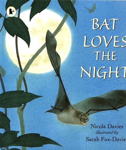 英文原版绘本 Bat Loves the Night 小学STEM科普自然百科读物 儿童自然故事书 彩图 Walker Nature Story