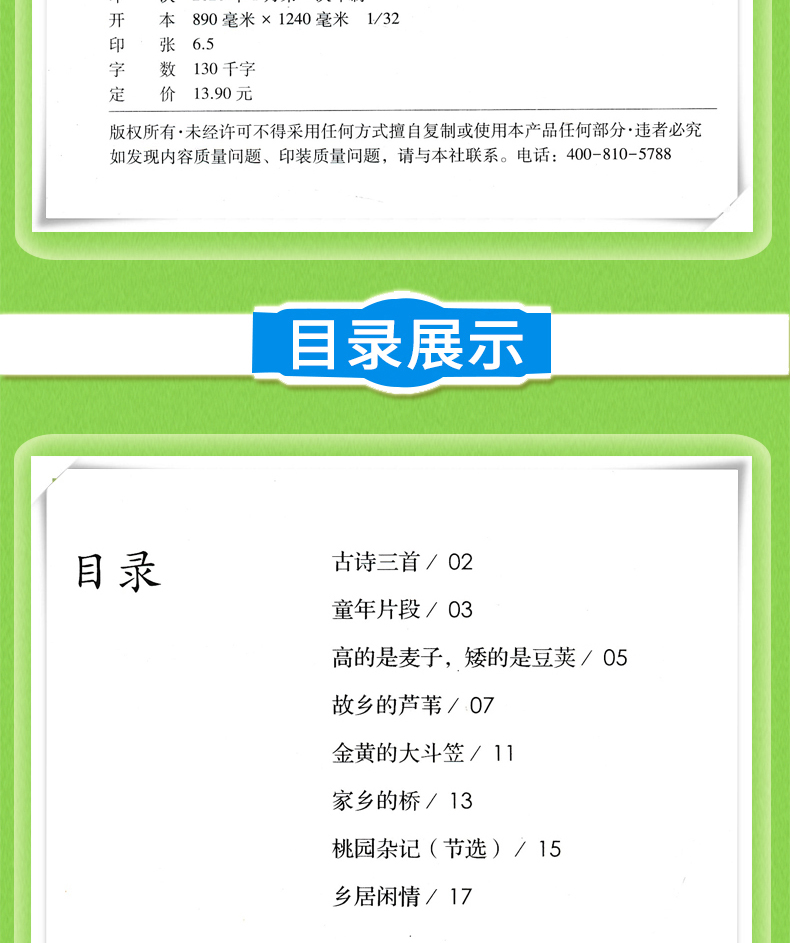 2020新版 冰项链语文四年级下册同步阅读 配人教版4四年级下册语文书课本全解全练使用 小学自读课本冰项链 自读课本