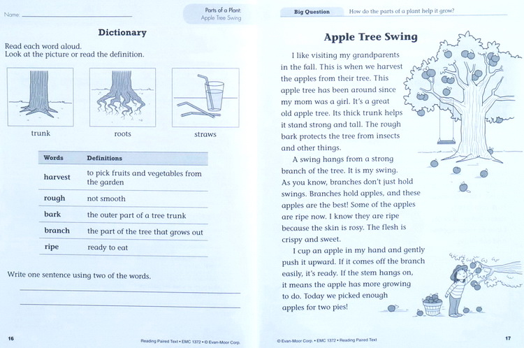 小学低年级 1-3年级 Reading Paired Text Grade 1-3年级 美国加州教材3册 Evan Moor 阅读技巧 小学生家庭练习册 英文原版