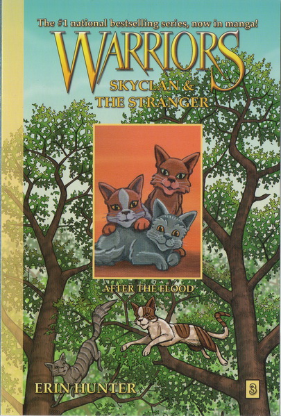 猫武士漫画 Warriors SkyClan and the Stranger 天族和陌生人3册 英文原版儿童冒险文字读物 中学生课外阅读小说 Erin Hunter