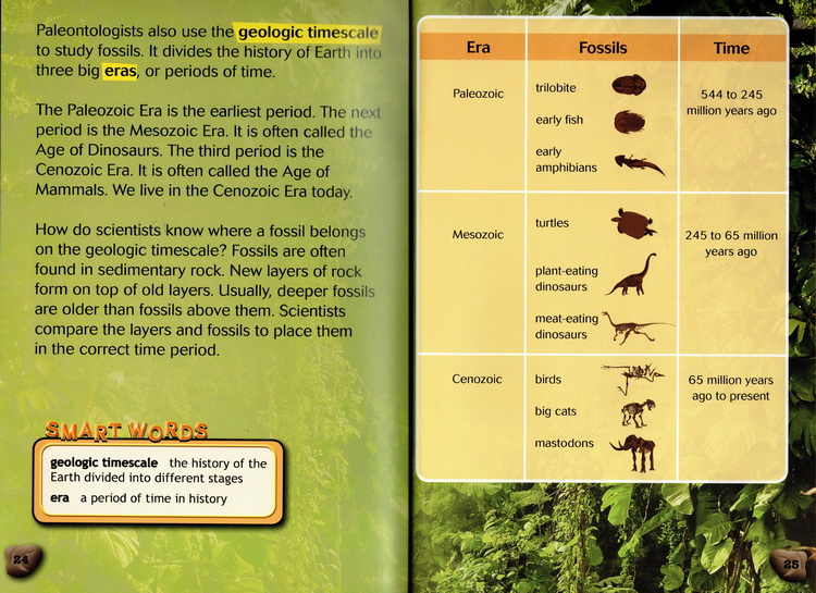 英文原版 学乐科普词汇读本 Smart Words Reader 20册轻松掌握400个常用科普词汇200 Best Science Vocabulary For Early Learning