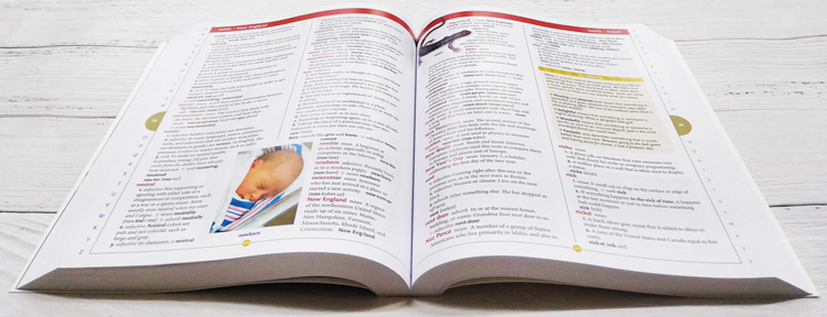 英文原版 学乐儿童英英字典 Scholastic Children’s Dictionary 英语单词工具书教辅书 小学初中学习 科普百科 英文原版图解词典