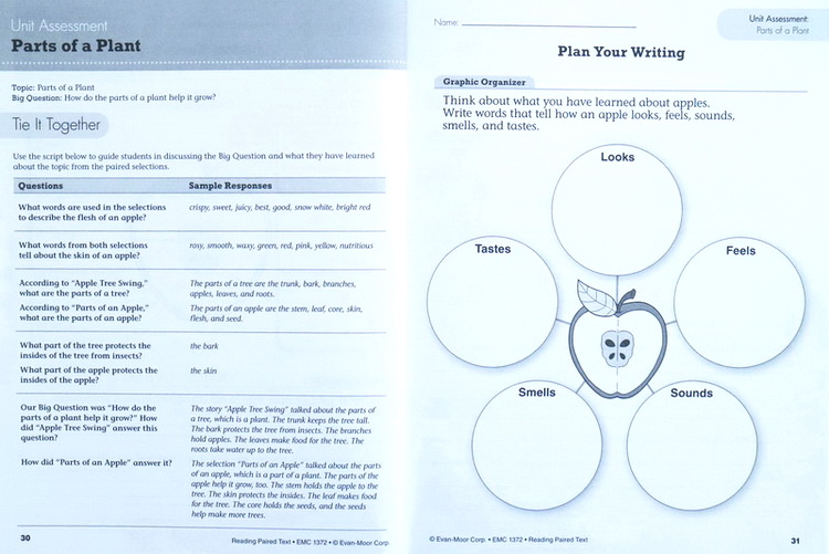 小学低年级 1-3年级 Reading Paired Text Grade 1-3年级 美国加州教材3册 Evan Moor 阅读技巧 小学生家庭练习册 英文原版