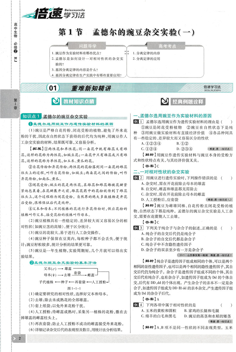 2020新版 万向思维倍速学习法高中生物必修二人教版高中同步教材讲解辅导书 直通新高考讲练结合构建有效学习方法引导透析高考