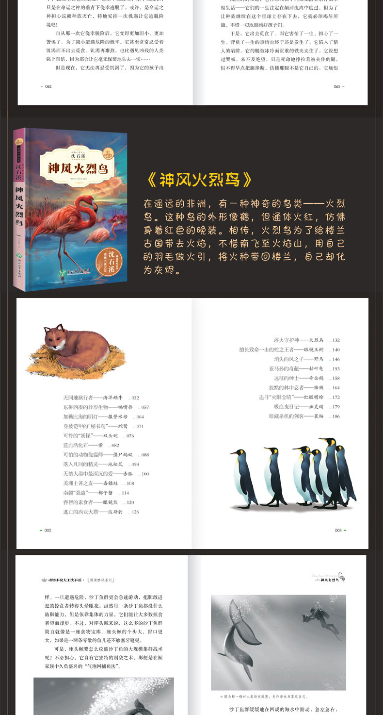 新版沈石溪 动物小说 最后一头猛犸象 中小学生课外书畅销儿童书老师推荐三四五六年级经典读物 沈石溪动物小说系列