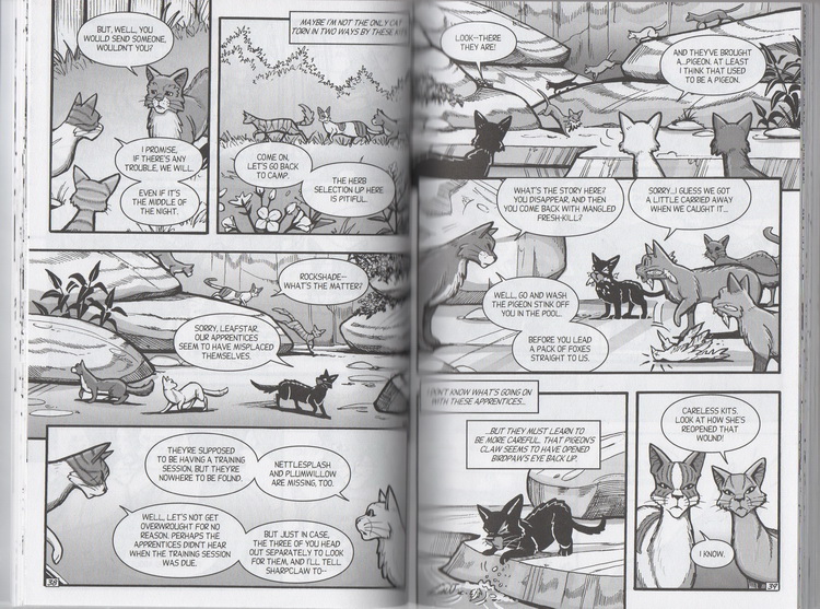 猫武士漫画 Warriors SkyClan and the Stranger 天族和陌生人3册 英文原版儿童冒险文字读物 中学生课外阅读小说 Erin Hunter