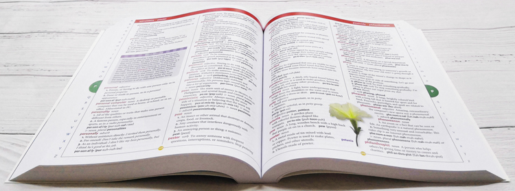 英文原版 学乐儿童英英字典 Scholastic Children’s Dictionary 英语单词工具书教辅书 小学初中学习 科普百科 英文原版图解词典