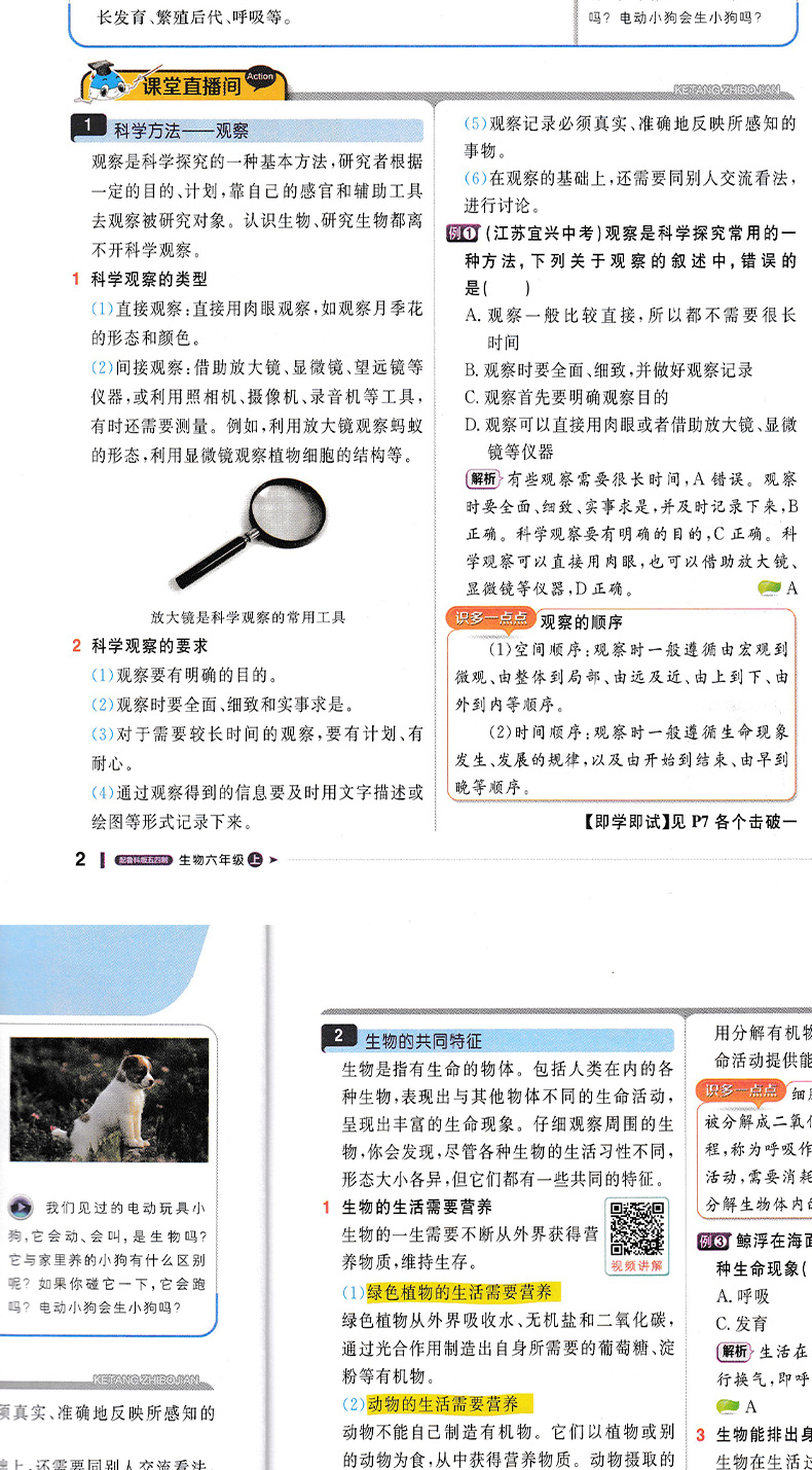 五四制适用2021版课堂直播生物六年级上册鲁科版LK6年级讲解生物辅导书初一基础知识手册 初中生物一本会说话的书线下线上视频讲解