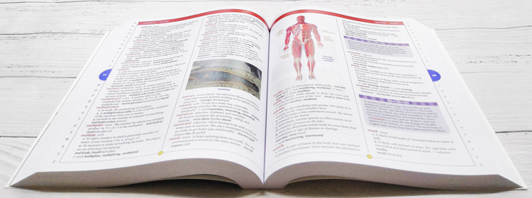 英文原版 学乐儿童英英字典 Scholastic Children’s Dictionary 英语单词工具书教辅书 小学初中学习 科普百科 英文原版图解词典