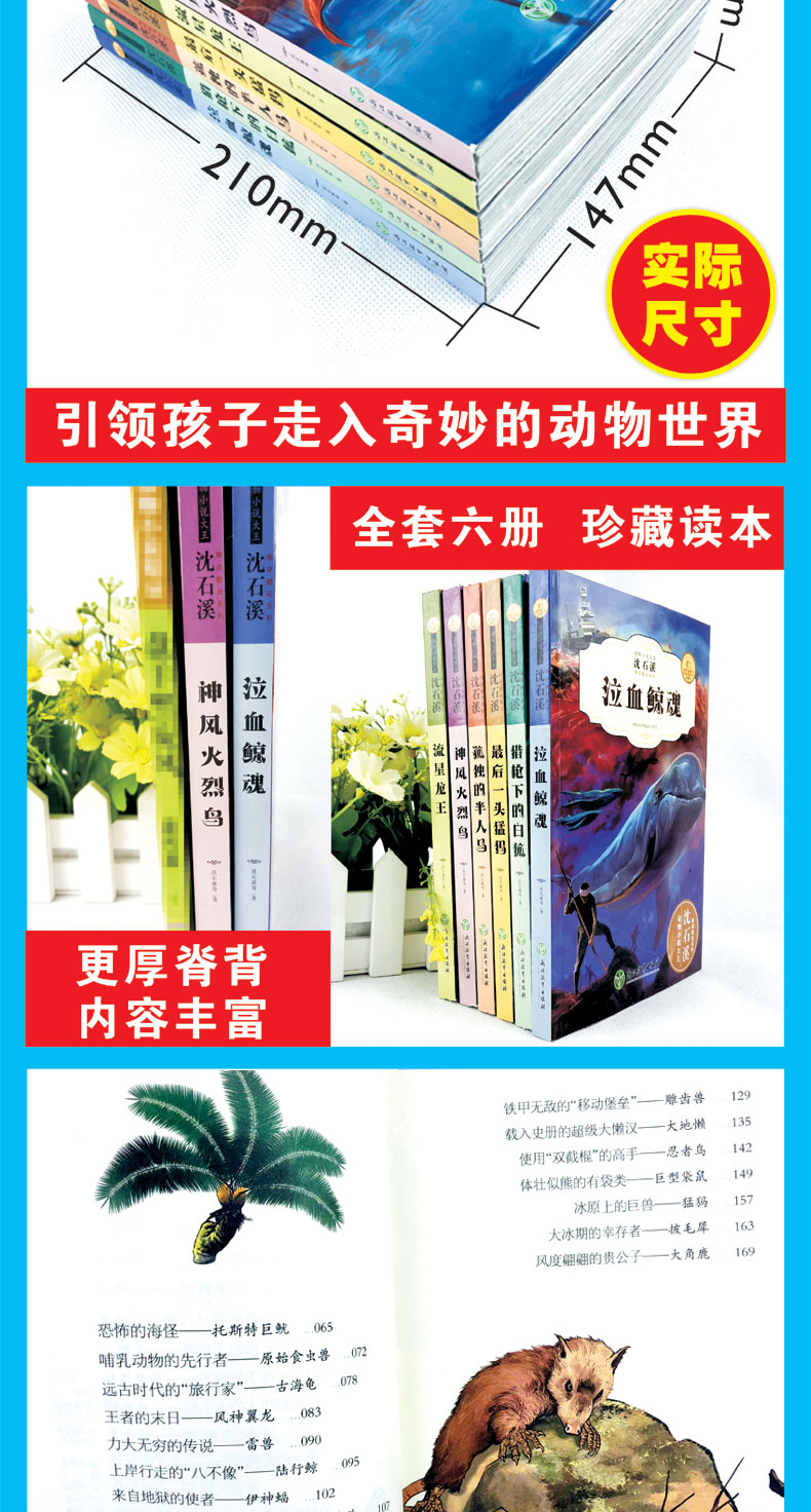 新版沈石溪 动物小说 最后一头猛犸象 中小学生课外书畅销儿童书老师推荐三四五六年级经典读物 沈石溪动物小说系列
