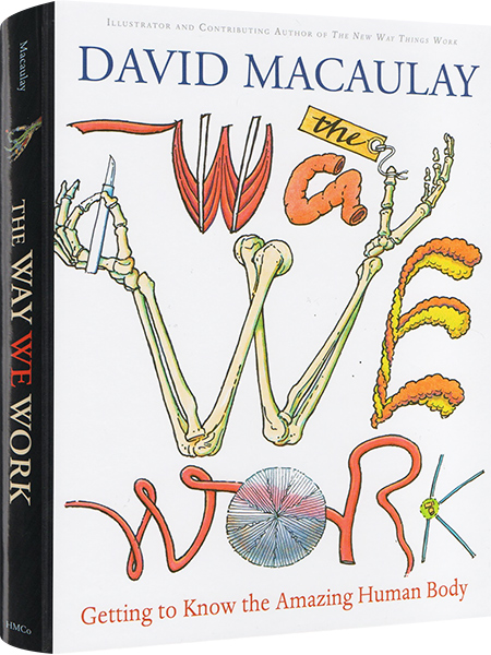 英文原版绘本 The Way We Work 人体好好玩 科普百科儿童知识扩展 大卫麦考利 David Macaulay 精装全彩大厚本