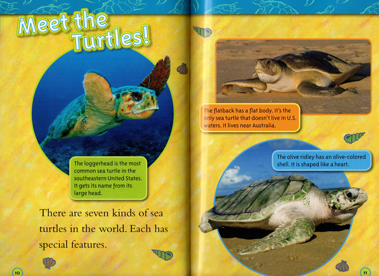 英文原版 National Geographic Kids Ocean Animals Collection 4个海洋动物故事合辑 L1L2 美国国家地理儿童百科分级读物STEM课程