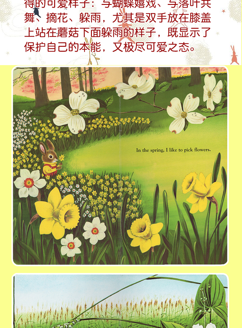 现货 I Am a Bunny 我是一只兔子 richard scarry 英文原版儿童绘本 早教启蒙纸板书 金色斯凯瑞童书 感受四季变化 小兔子