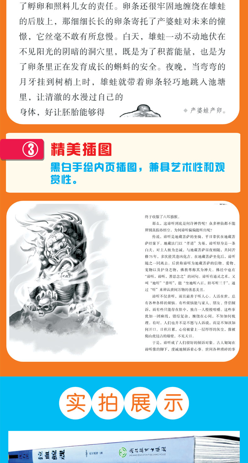 新版沈石溪 动物小说 最后一头猛犸象 中小学生课外书畅销儿童书老师推荐三四五六年级经典读物 沈石溪动物小说系列