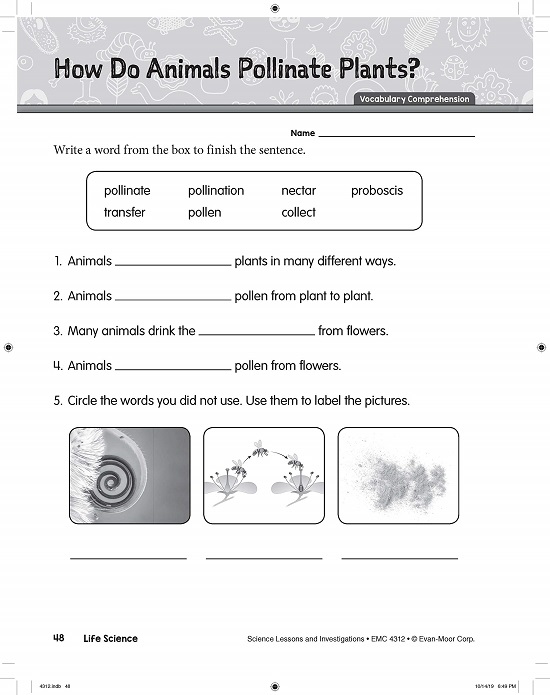 英文原版Science Lessons and Investigations Grade2科学研究探索系列 Evan Moor 美国加州教材教师版