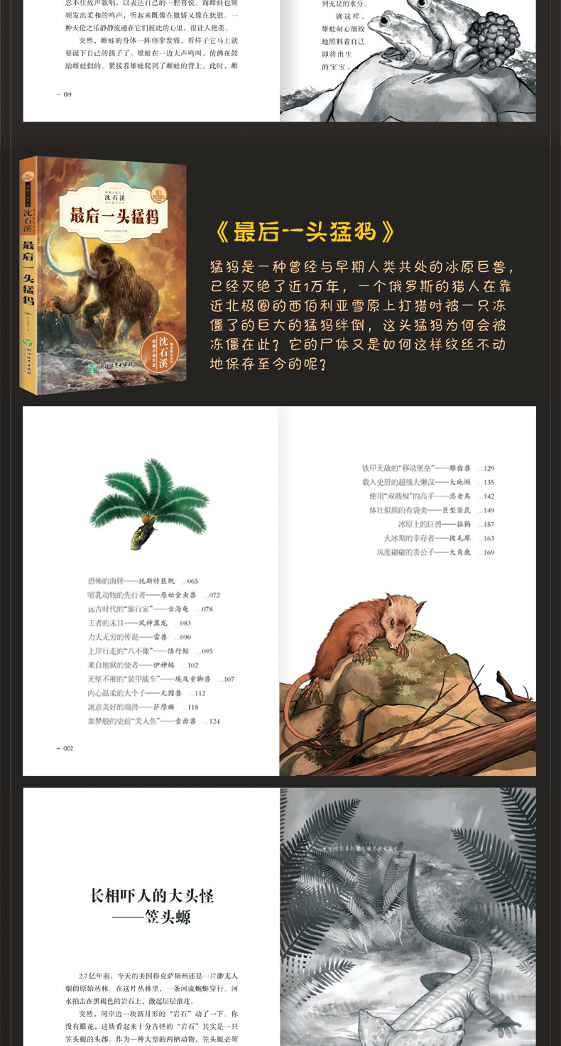 新版沈石溪 动物小说 最后一头猛犸象 中小学生课外书畅销儿童书老师推荐三四五六年级经典读物 沈石溪动物小说系列