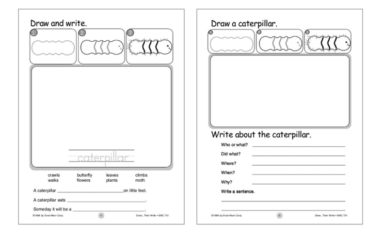 英文原版 Draw Then Write Grades 1-3 写作绘画 美国加州教材 Evan Moor