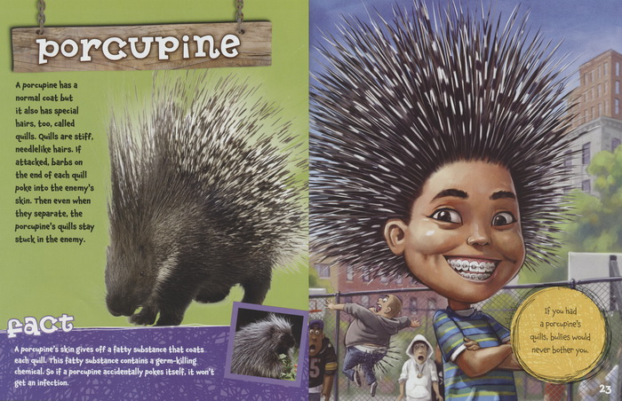 英文原版绘本 What If You Had Animal Hair 如果你有动物的毛发 儿童科普想象图画书 Scholastic