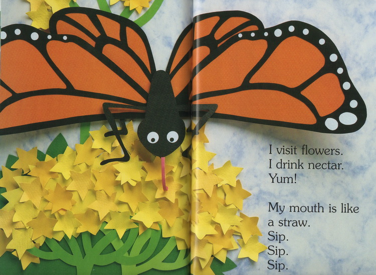 英文原版绘本 I Am a Caterpillar 我是毛毛虫 廖彩杏书单 Scholastic Reader L1 学乐分级科普阅读绘本图画书读物