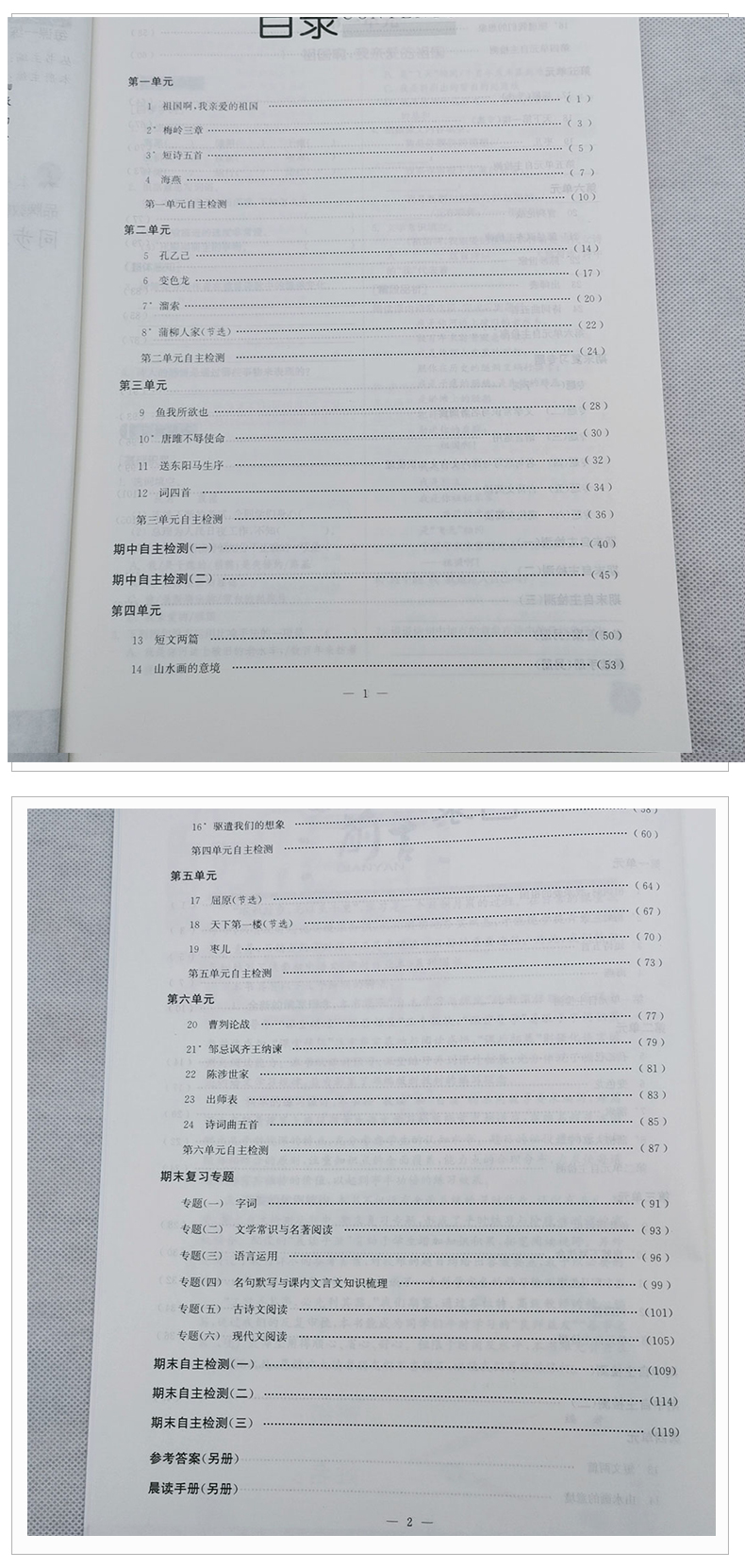 苏教版2020全新现货 通城学典 课时作业本九年级语文下9年级初三下练习册 新课标江苏版  同步课时随堂天天练初中教材教辅辅导书