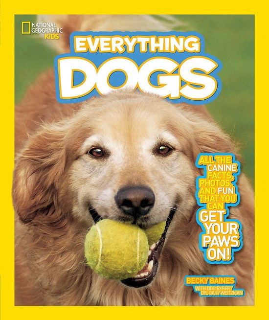 英文原版 National Geographic Kids Everything Robotics/Space/dogs 9册 美国国家地理 人文、历史、神话、动物自然百科科普绘本