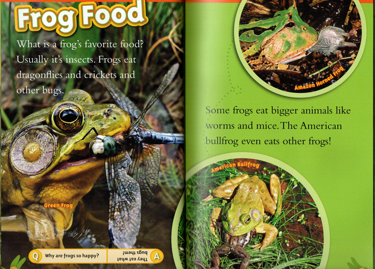 英文原版 National Geographic Kids Creepy Crawly Collection 4个故事合辑  L1L2 美国国家地理儿童百科分级读物 小学STEM课程