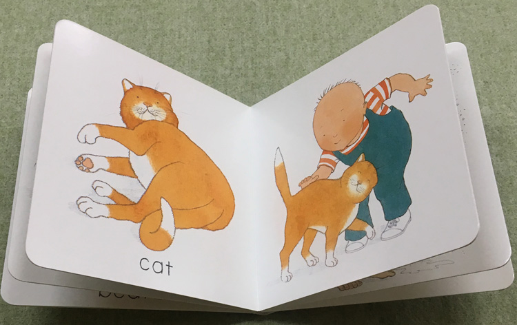 英文原版 Helen Oxenbury I see/touch/can/hear 纸板书4册合售 幼儿认知启蒙绘本 手掌书