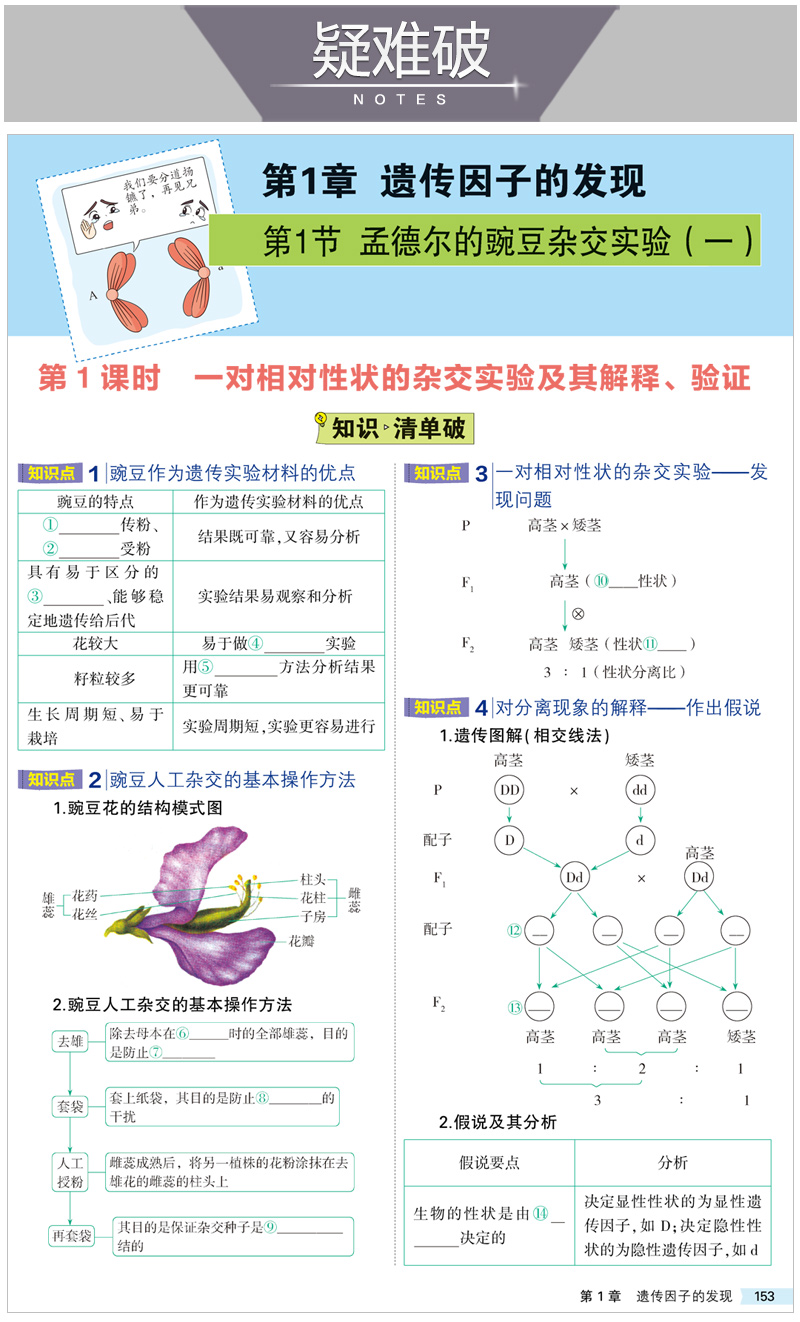 2021版5年高考3年模拟生物必修2人教版 曲一线官方正品 必修二教材课本同步训练教辅五年高考三年模拟53高中生物同步练习册