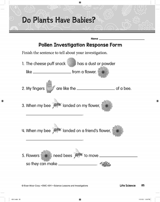 英文原版Science Lessons and Investigations Grade1-3科学研究探索系列3册 Evan Moor 美国加州教材教师版