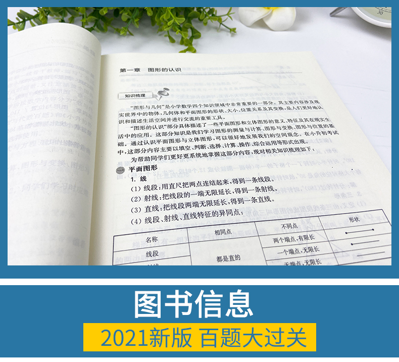 2021百题大过关小升初数学图形与统计百题小升初衔接教材小升初总复习小考考进名校毕业总复习小学升学总复习寒假暑假