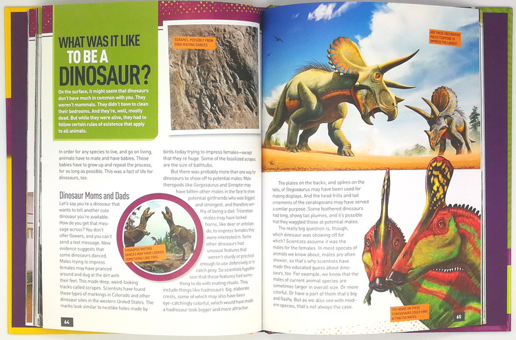 英文原版 National Geographic Kids Absolute Expert Volcanoes/Dolphins/Dinosaurs 美国国家地理 精装百科5册 儿童科普阅读